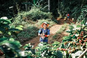 BIB: 
                            <button type="button" onclick="openModal(25857503)" class="btn btn-primary btn-sm float-right btn-popup" data-toggle="modal" data-target=".modal-high-quality">
                        <i class="fas fa-shopping-cart"></i> Add to Cart
                    </button>
                                            <button type="button" onclick="isThisMe(25857503, true)" class="btn btn-success btn-sm float-right btn-popup btn-isme hidden" data-toggle="tooltip" data-placement="bottom" title="นี่คือรูปของคุณใช่ไหม คลิกที่นี่เพื่อเอาเข้าอัลบั้ม">
                        <i class="fas fa-plus"></i> Add to album
                    </button>
                    <button type="button" onclick="isThisMe(25857503, false)" class="btn btn-warning btn-sm float-right btn-popup btn-isnotme hidden">
                        <i class="fas fa-ban"></i> Remove from album
                    </button>